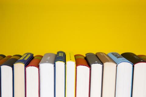 libri 2025-2026